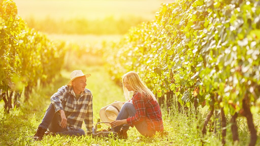 Minnesota Wineries to Support This Summer